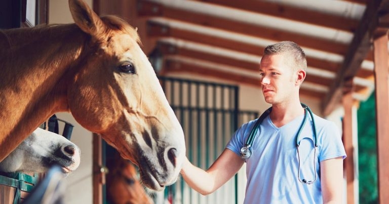 VetSkill celebrates VN course accreditation