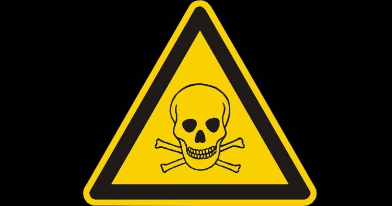 Small animal poisoning CPD courses open