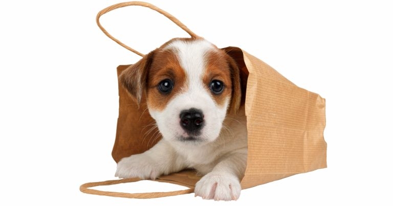 ’Tis the season to (not) be shopping…