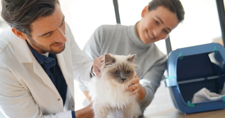 Vets ‘trusted’ by public, but opinion split on fees