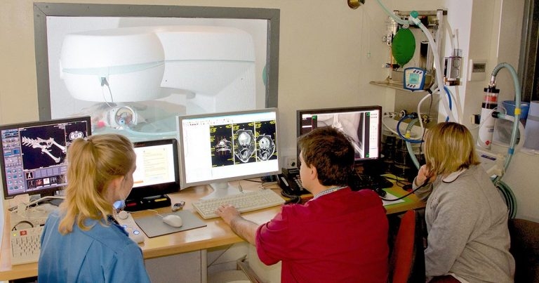 Management of canine epilepsy: importance of client compliance