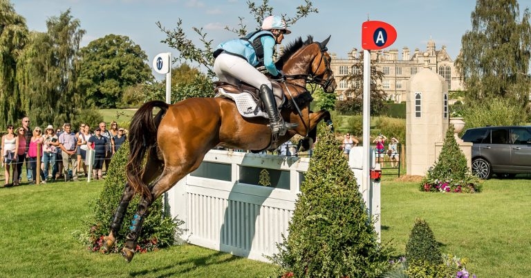 Vet in line for top equestrian award