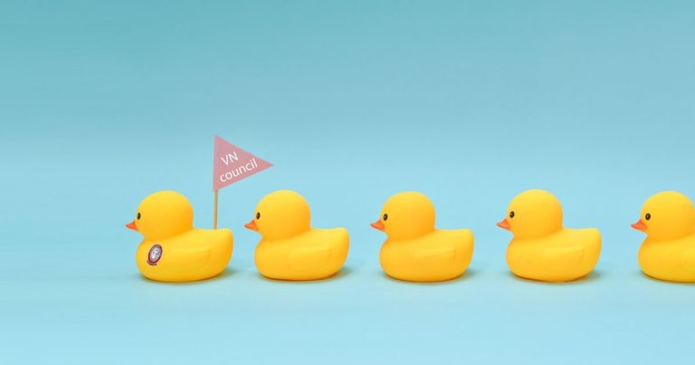 Getting my ducks in a row: VN council and beyond