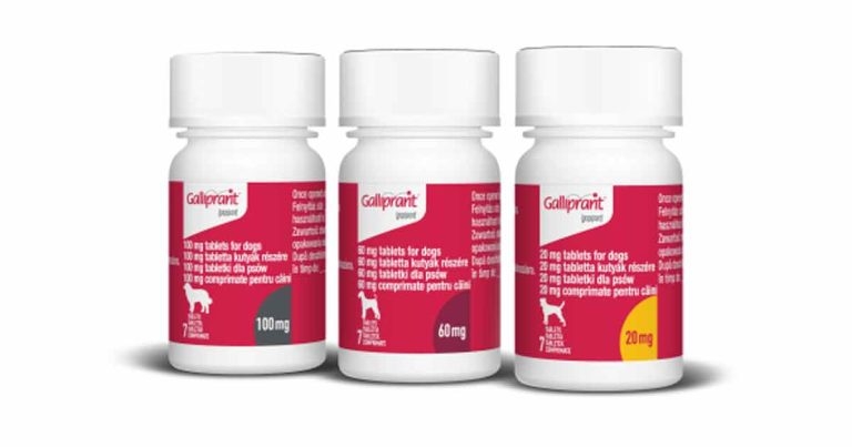 VMA names Galliprant product of the year