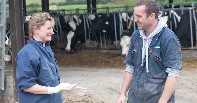 Advanced dairy vetting – insight into farmer-vet communication