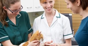 RVNs encouraged to advocate for themselves to ensure skills usage