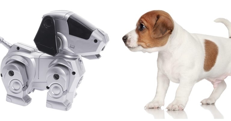 For future reference&#8230; Pet tech – friend or foe?