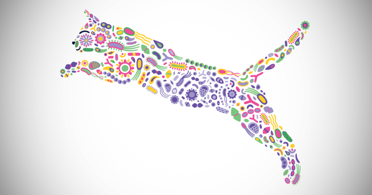A healthy gut is the centre of a healthy life