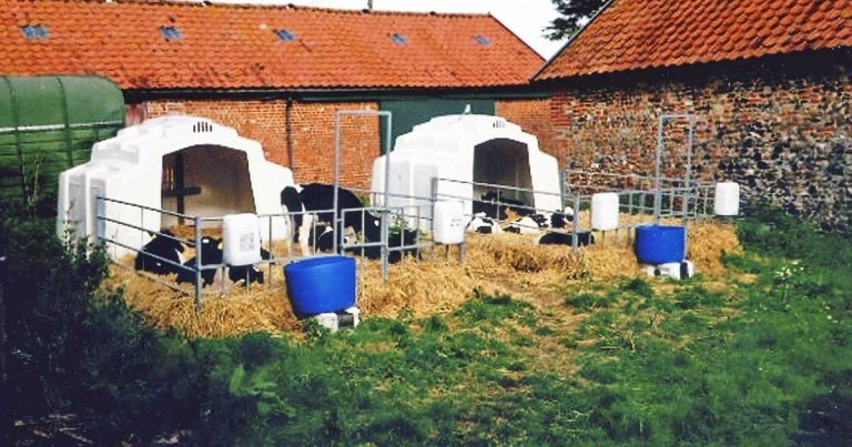 Bovine respiratory disease – importance of planned approach