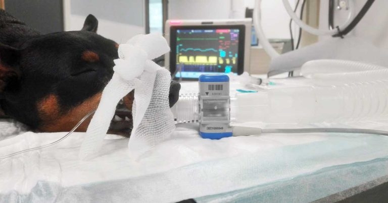 Why we should use capnography