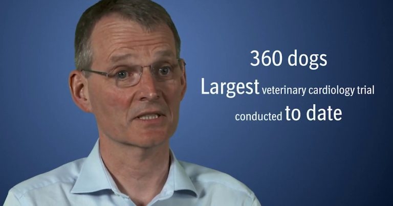 EPIC study, pt 1: objectives