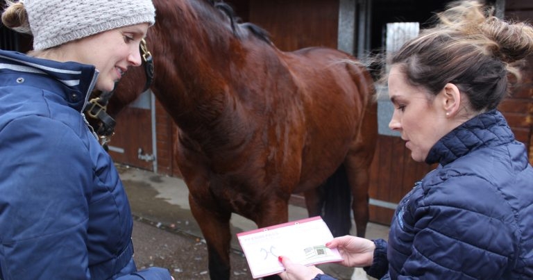 Project launched to tackle equine obesity