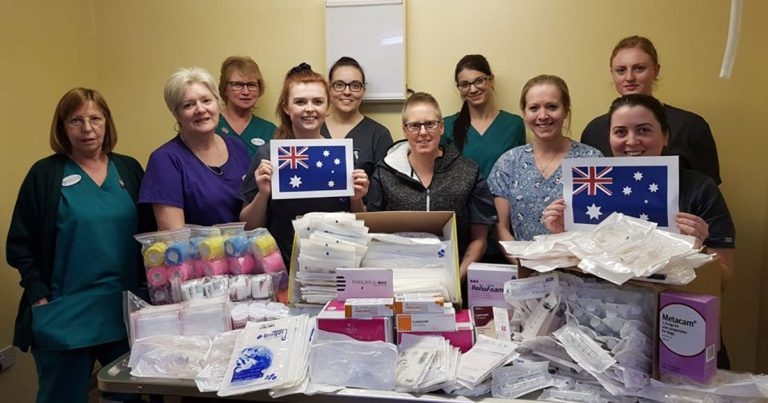 Vet staff help Australian wildlife