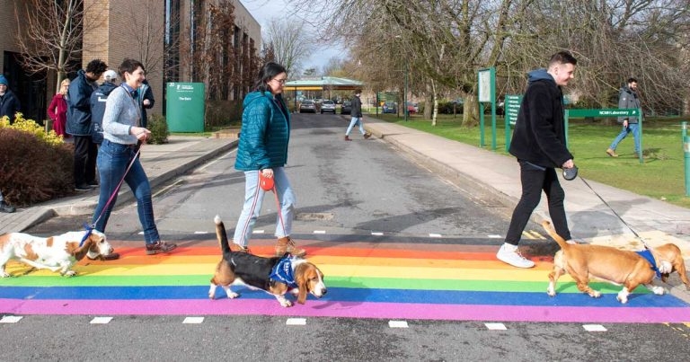 Rainbow zebra crossings mark LGBT History Month