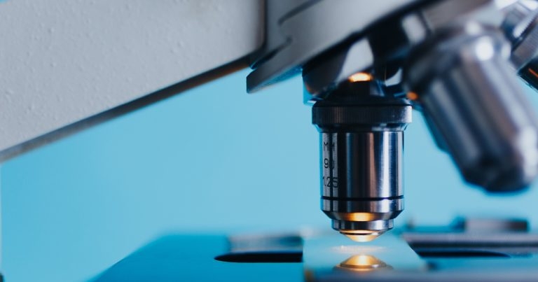 FMD virus could aid human pancreatic cancer patients