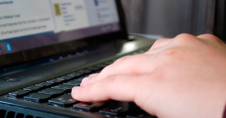 Veterinary leaders hit out at online abuse