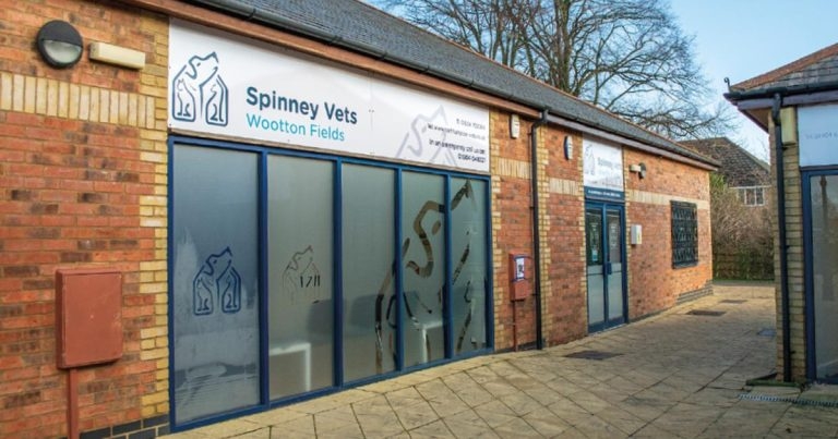 Practice Profile: Spinney Vets