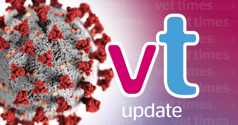 RCVS updates COVID-19 guidelines
