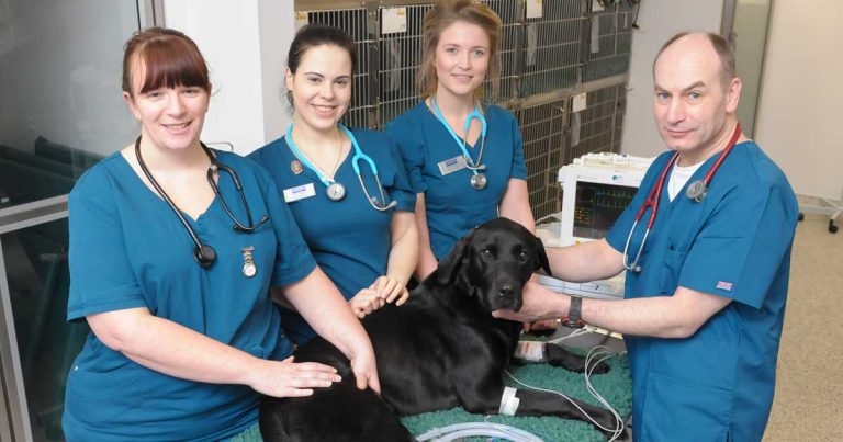 Eastcott launches ECC service