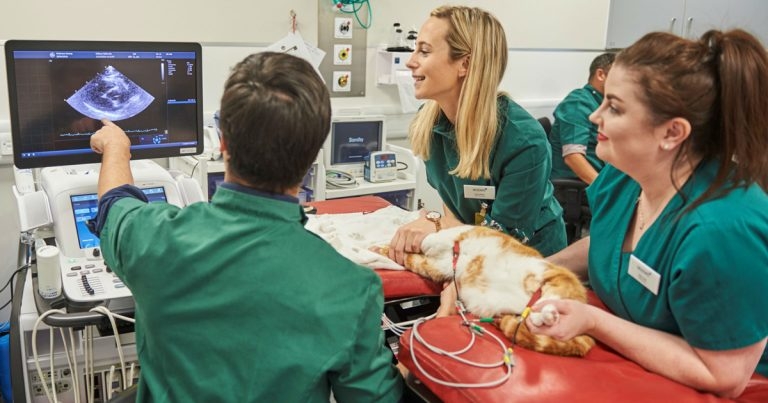 New heart clinic is UK first