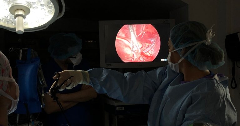 Sharp-eyed vets find cause of dog’s lung infection