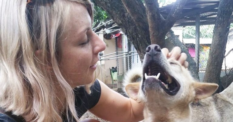Vet nurse to take on animal welfare in Vietnam