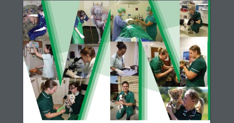 Virtual #VNAM2020 offers VNs unique opportunity