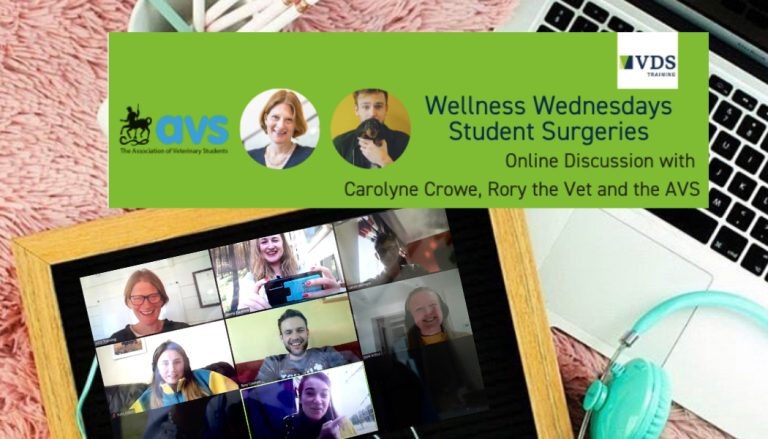 Wellness Wednesday student surgeries on offer