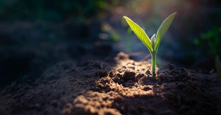 My COVID Diaries: shining a light in the darkness