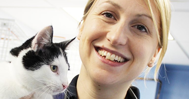 Vet Times Podcast, Ep 34: Sam Taylor on managing senior cats