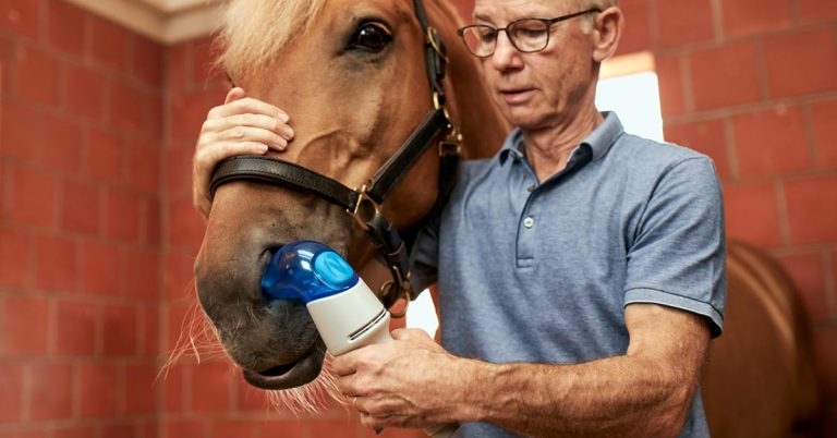 Sector-first therapy for severe equine asthma