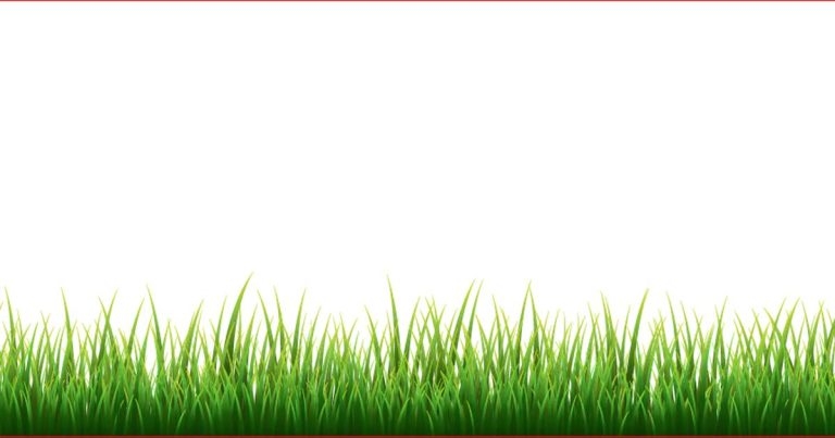 Ensuring your grass is greener