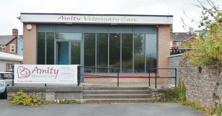 Practice Profile: Amity Veterinary Care
