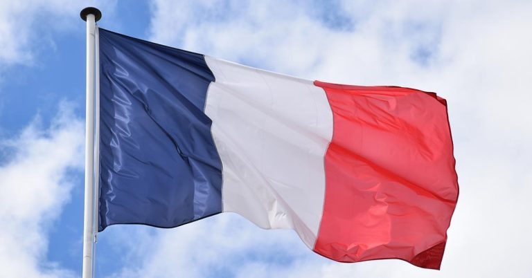 IVC Evidensia urges dialogue after French court defeat