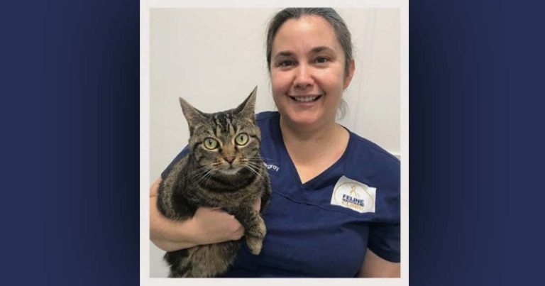 iCatCare appoints new head of veterinary division