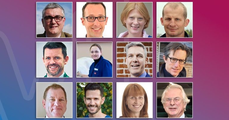Record number become RCVS fellows in 2020