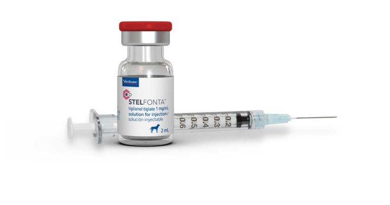Ground-breaking treatment for canine mast cell tumours launches