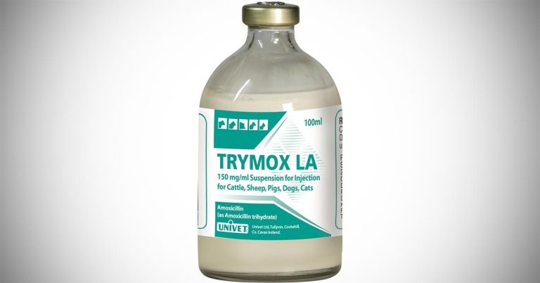 Long-acting antibiotic launches in UK