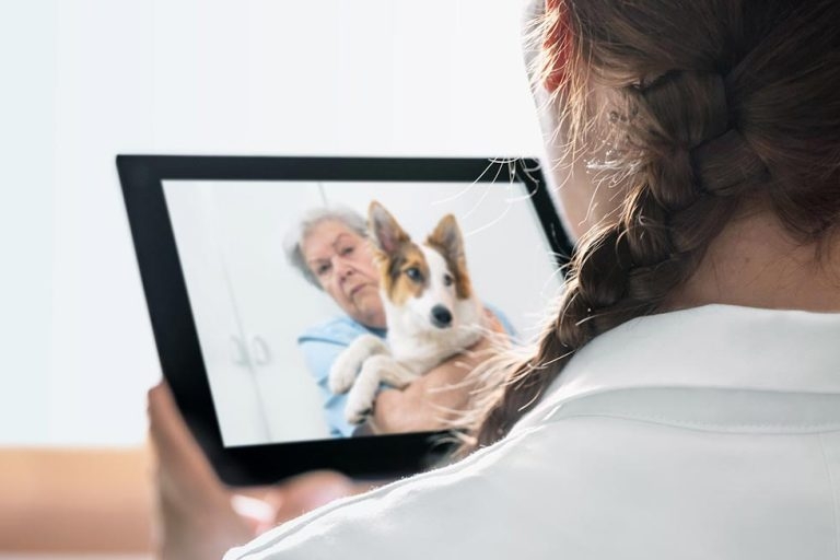 Temporary remote prescribing back as omicron spreads