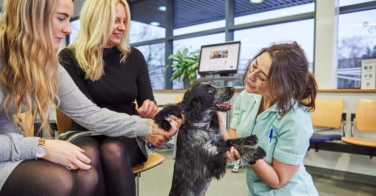College of Animal Welfare sets up satellite training centre