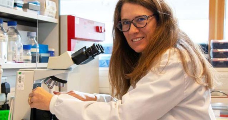 RVC research identifies key reason for equine pregnancy loss