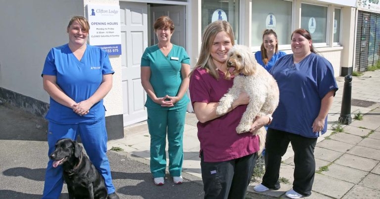 Vets find new Lodgings