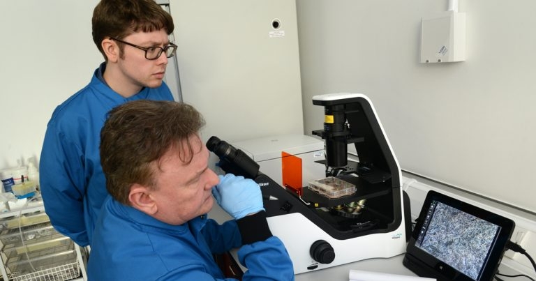 Roslin targets stem cell research at dog therapies