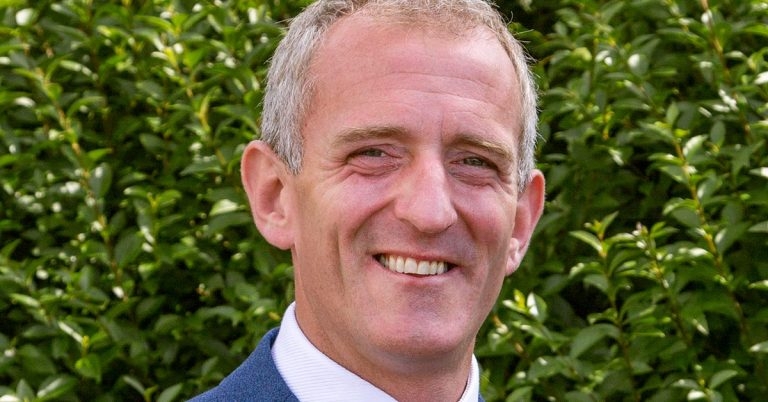 BVA appeal to owners to respect vet teams