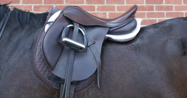 World-renowned researchers saddle up for horse conference