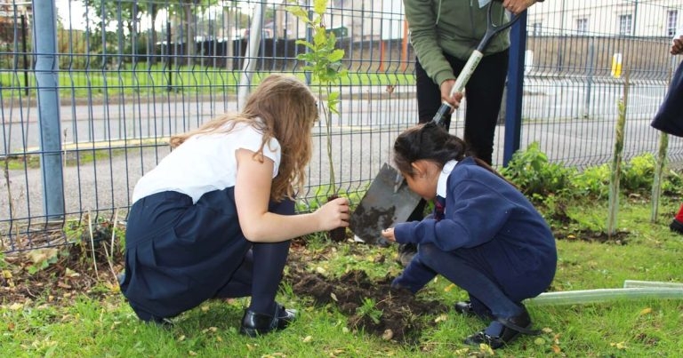 Animalcare neutralises its carbon footprint