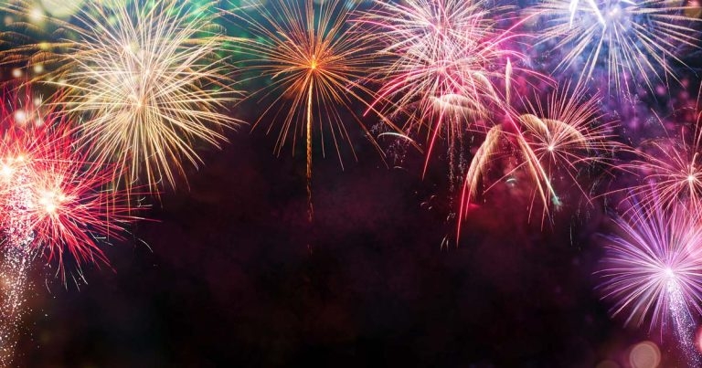 Dogs Trust launches fireworks study ahead of new year