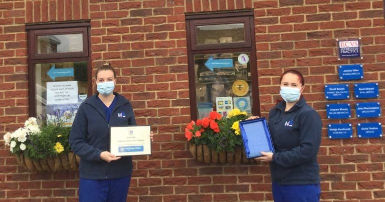 VNs recognised in Hill’s 2020 awards