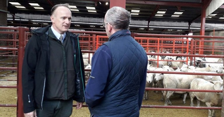 MP calls for clarity on animal welfare guarantees