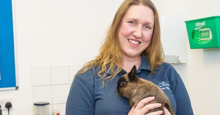 Vet calls for more mental health research